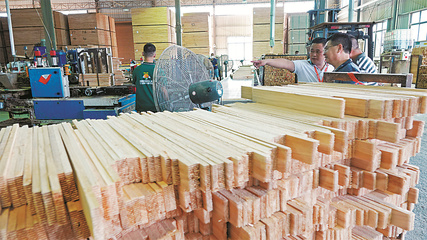 一樹興業，爭做道地“香杉人”——從南湖紅船看柳州杉木產業的傳承與創新